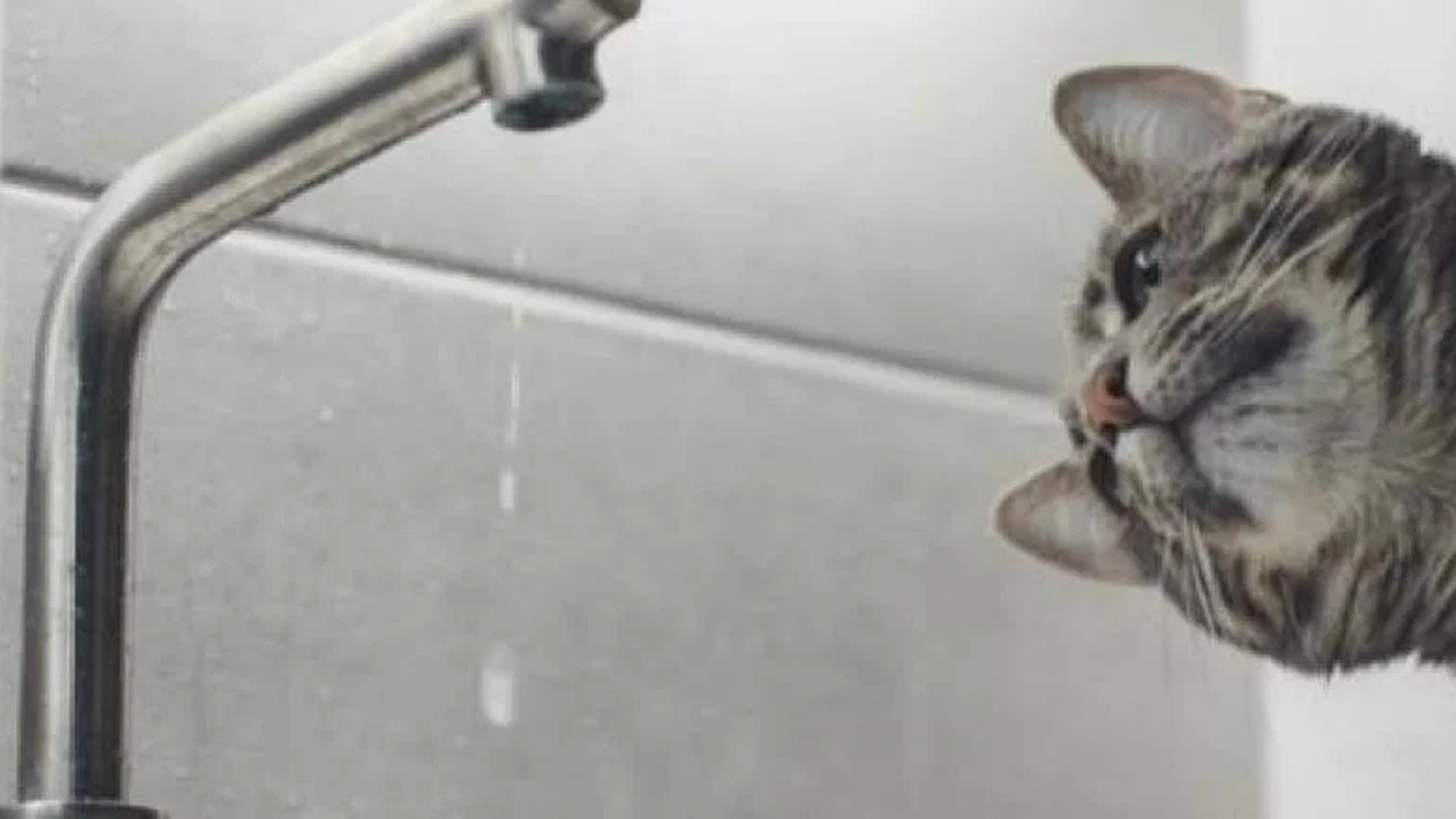 Squirting: ¿Santo Grial o cuento de hadas?