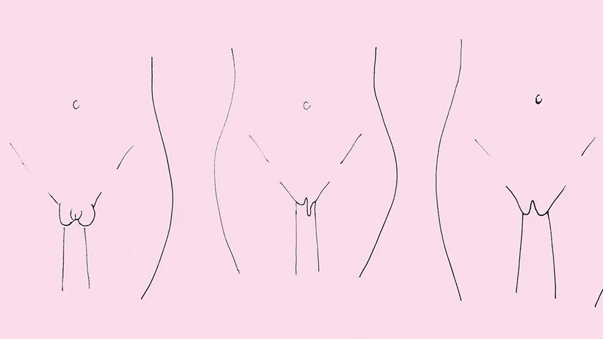 Autoconocimiento ¿Mi Vulva es Normal?