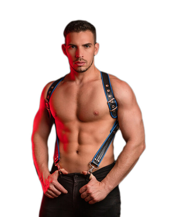 Industry Harness XS/S Negro/Azul Dale +
