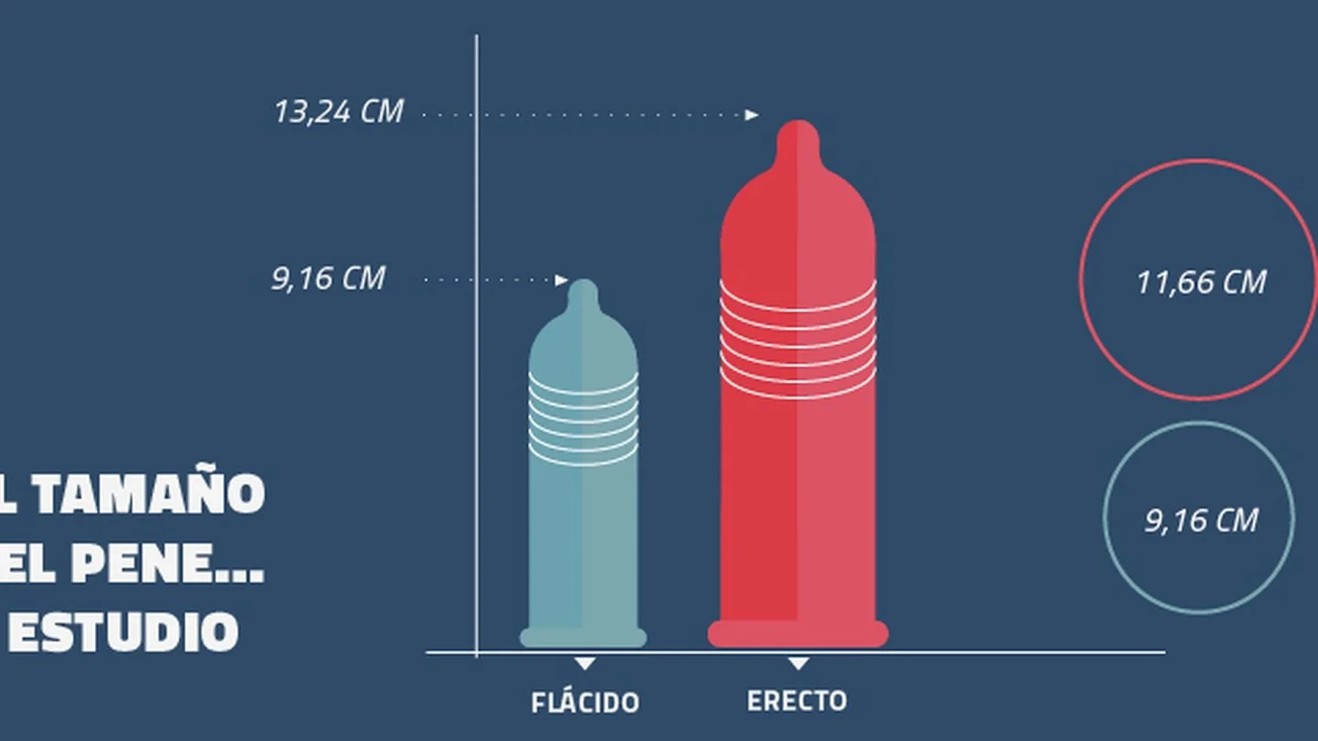 El Tamaño del Pene es un Problema Latente