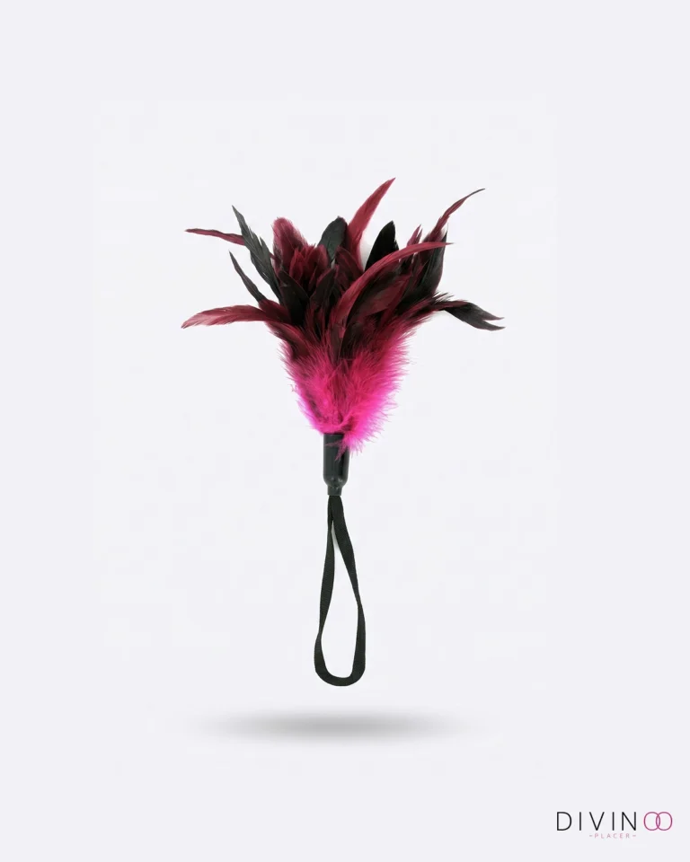 Pluma Sportsheets Pleasure Feather Negro/Rosa